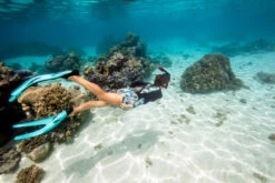 Diving Fins FF 500 Soft Black Blue -Water Sports Store k202c5c4452e4626a0b1a219baddbe17a