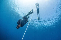 Neoprene Freediving Wetsuit Jacket FRD900 3 mm -Water Sports Store k341bca5ac19e6fa0a6ad0a624a598885