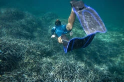 Diving Fins -Water Sports Store k6213824e8565996462efb48b9216ac5e