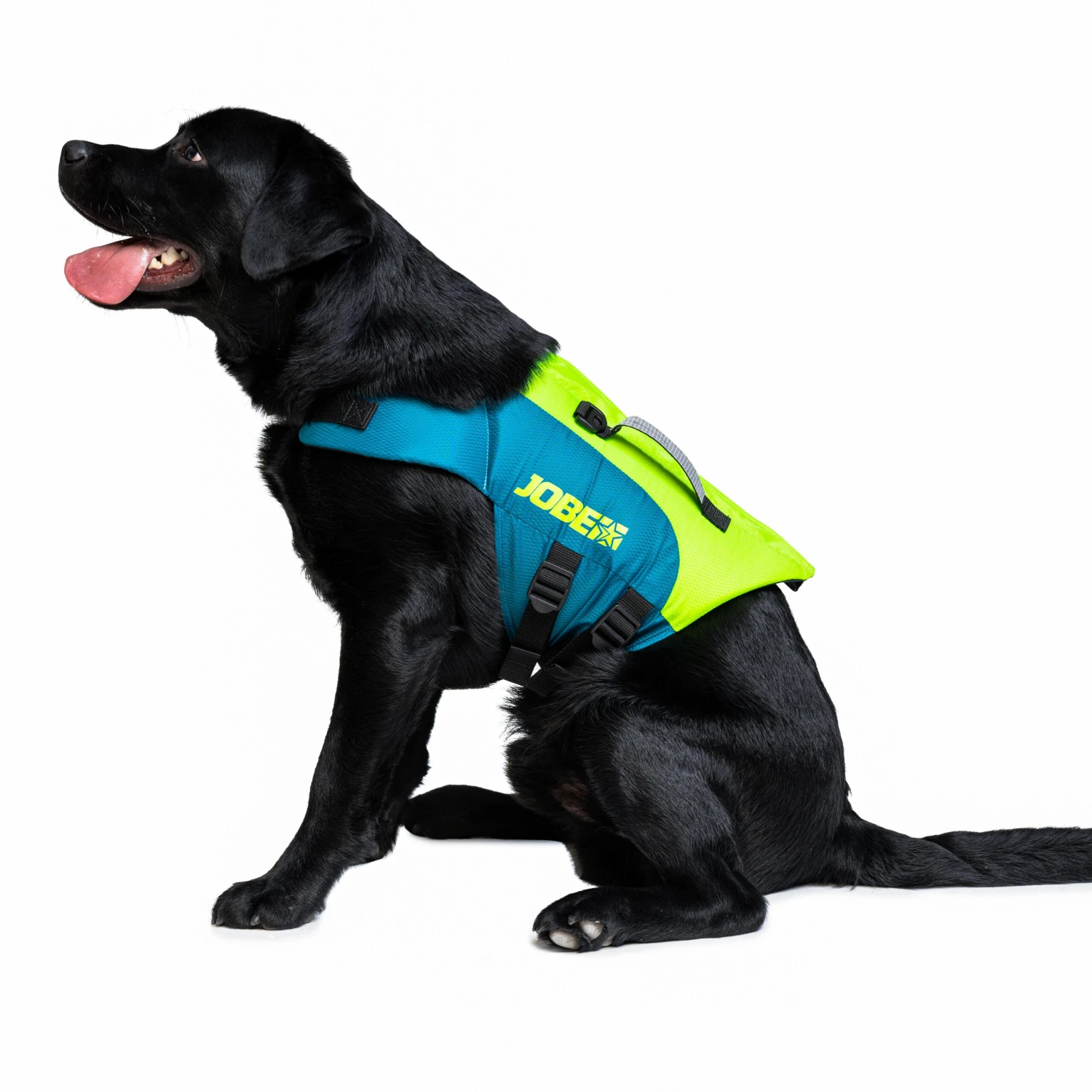 JOBE LIFE VEST FOR DOGS FOR USE DURING STAND UP PADDLE BOARDING, KAYAKING, SAILING 4 JOBE LIFE VEST FOR DOGS FOR USE DURING STAND UP PADDLE BOARDING, KAYAKING, SAILING - Image 2