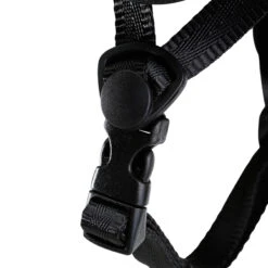 Kitesurfing / Kite Landboarding / Power Kiting Helmet -Water Sports Store kb62f54a870315702f30bf4dfbcf8e650