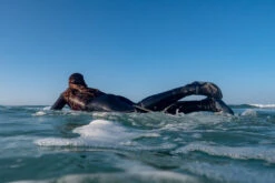 500 3 Mm Neoprene Surf Boots -Water Sports Store kcfaa1dc8ba03470d1cbed01ec1bdea38