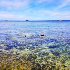 Pool Relaxation Kit -Water Sports Store ke7ddeb16b71b4b4addd661ca68181fd7