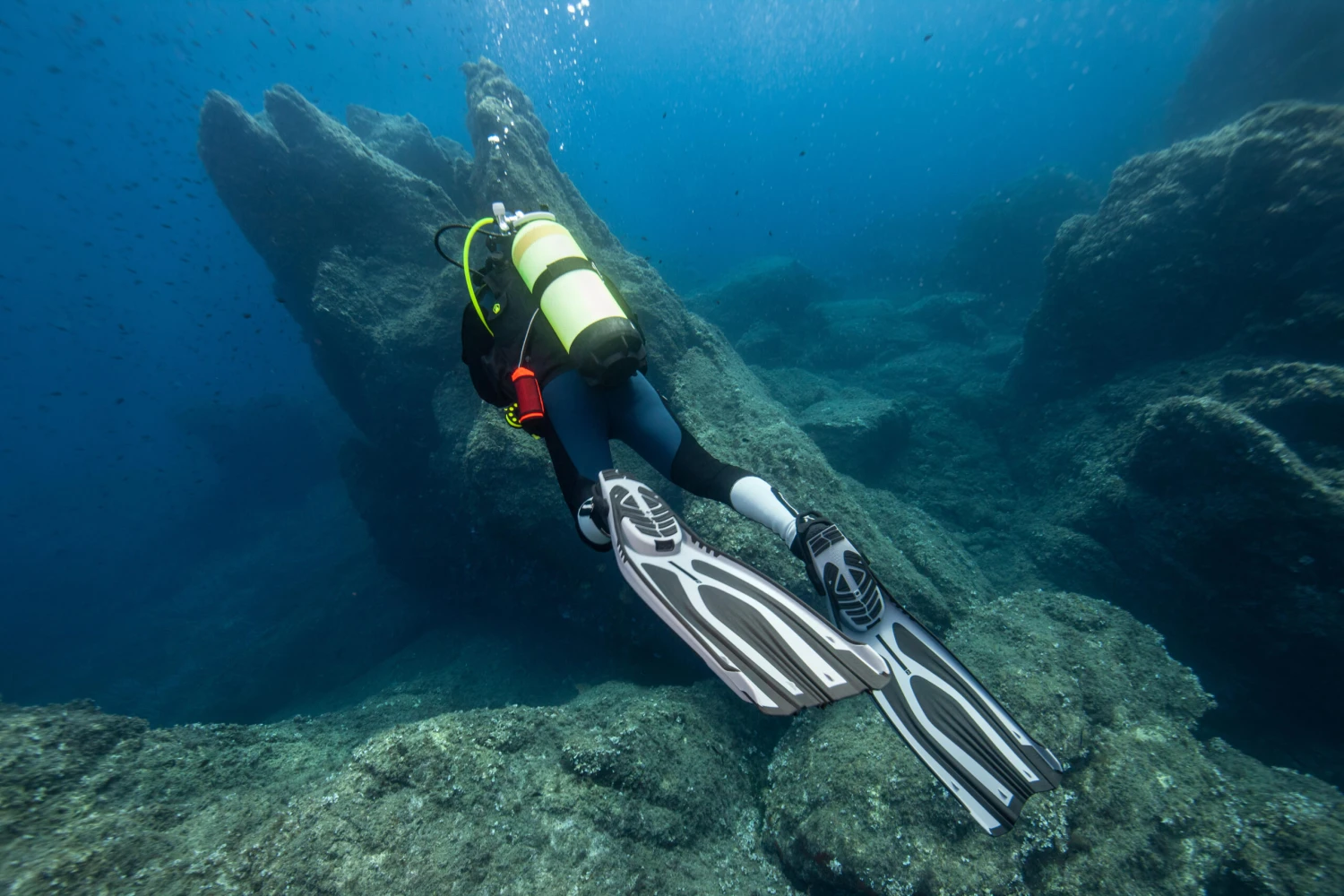 Diving Fins Adjustable OH 500 Power Grey 4 Diving Fins Adjustable OH 500 Power Grey - Image 2