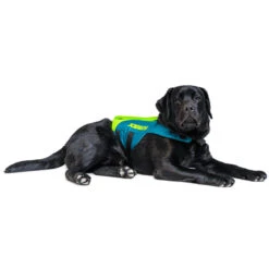 JOBE LIFE VEST FOR DOGS FOR USE DURING STAND UP PADDLE BOARDING, KAYAKING, SAILING 9 JOBE LIFE VEST FOR DOGS FOR USE DURING STAND UP PADDLE BOARDING, KAYAKING, SAILING -Water Sports Store kfe414141fe91cbdc60aacb23cb9243eb