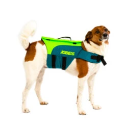 JOBE LIFE VEST FOR DOGS FOR USE DURING STAND UP PADDLE BOARDING, KAYAKING, SAILING 10 JOBE LIFE VEST FOR DOGS FOR USE DURING STAND UP PADDLE BOARDING, KAYAKING, SAILING -Water Sports Store kffe67610d4a95e9bba2eb5d904a823e4